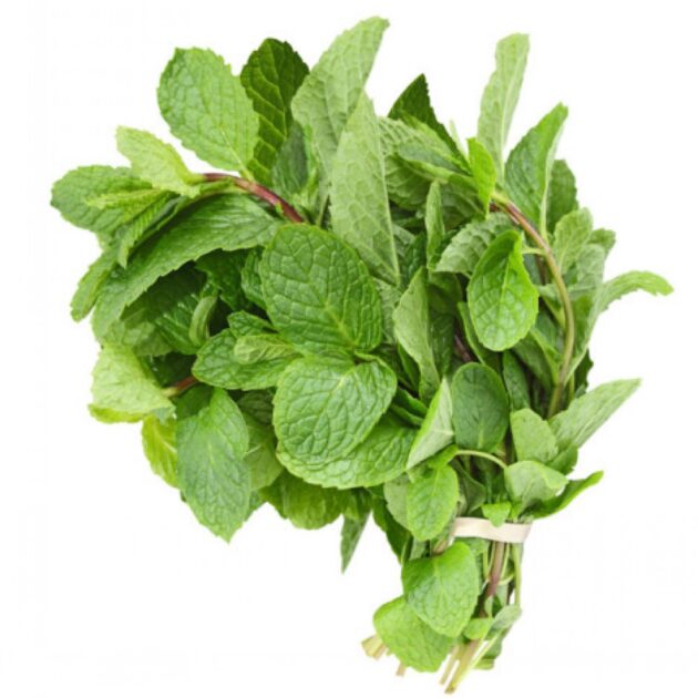 Mint leaves - Big