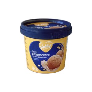 Vadilal Butterscotch 100ml