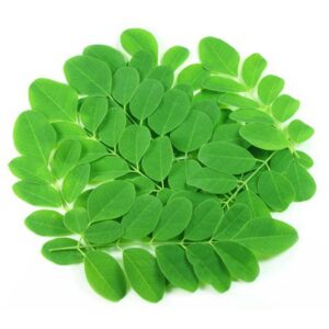 Leaves Drumstick