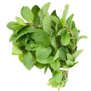 Leaves Mint 3no