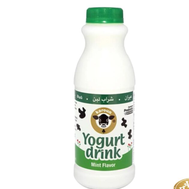 Karoun Yogurt Drink Mint Flavor