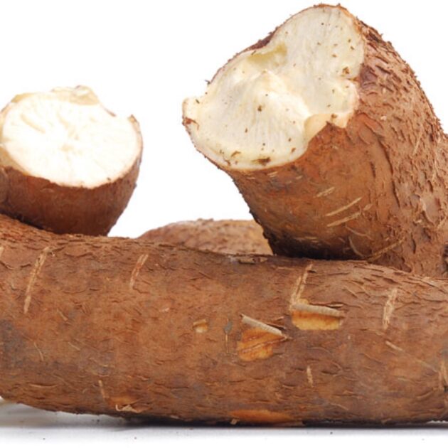 Cassava