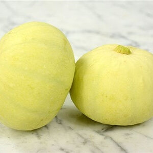 Squash Tinda (punjabi)