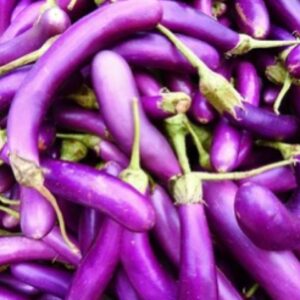 Chinese Eggplant