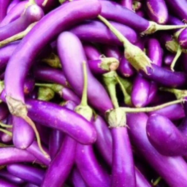 Chinese Eggplant