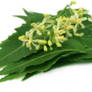 neem flower