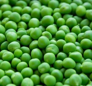Green Vatana