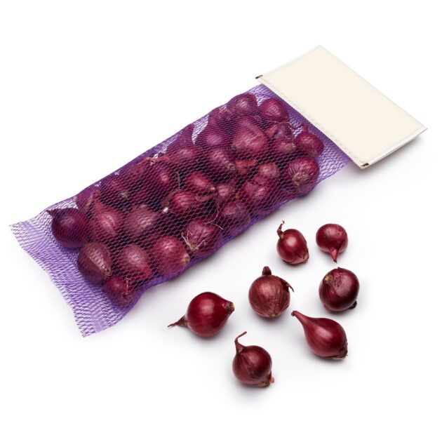 Onion Pearl Red