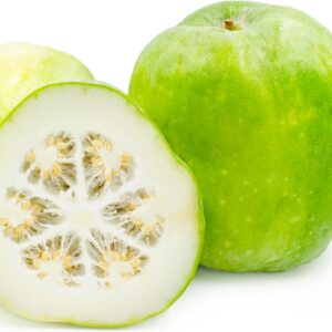 Winter Melon