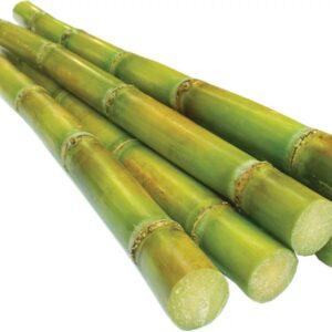 Sugar Cane