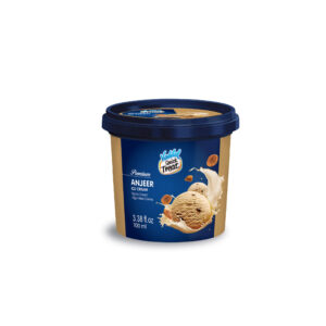 Vadilal Anjeer 100ml