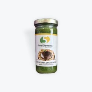 Fyve Elements golgappa chutney 8oz