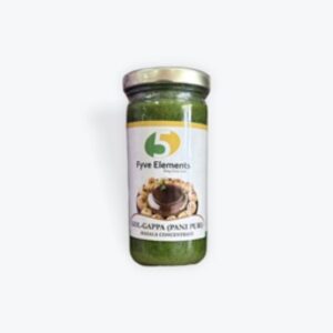 Fyve Elements golgappa chutney 8oz