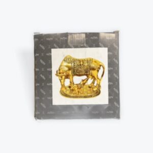 Brass nandi