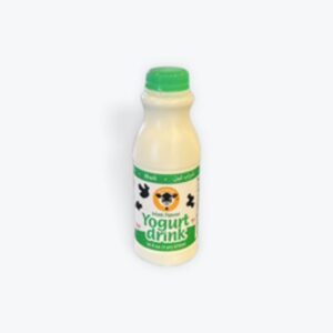 Karoun Yogurt Drink Mint 1pt
