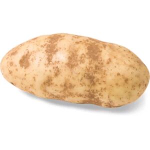potato russet