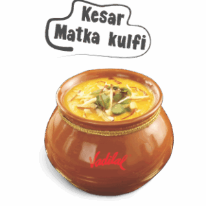 Vadilal Matka kulfi 200ml